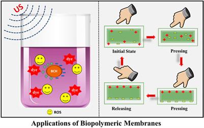 Highly efficient piezocatalytic composite with chitosan biopolymeric membranes and bismuth ferrite nanoparticles for dye decomposition and pathogenic S. aureus bacteria killing